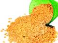 २0१५ मध्ये डाळींना तडका महागाईचा; भाव राहणार चढेच - Marathi News | Inflation in pulses in 2015; The price will stay the same | Latest business News at Lokmat.com
