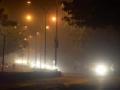 धुके अन् थंडी : - Marathi News | Fog and cold: | Latest nagpur News at Lokmat.com