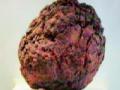 पृथ्वीपेक्षाही जुनी उल्का सापडली - Marathi News | An old meteorite was discovered more than Earth | Latest international News at Lokmat.com