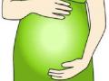 लैंगिक संबंधांमुळेही जिकाची लागण - Marathi News | The introduction of zinc due to sexual intercourse | Latest international News at Lokmat.com