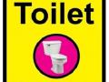 थाई राजकुमारींच्या कंबोडिया दौऱ्यासाठी लक्झरी टॉयलेट - Marathi News | Luxury toilets for Thai princess's Cambodia tour | Latest international News at Lokmat.com