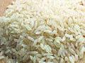 केंद्र सरकारच्या तांदूळ खरेदीत यंदा तब्बल २१ टक्क्यांनी वाढ - Marathi News | The Central Government's rice procurement has increased by 21 per cent this year | Latest business News at Lokmat.com