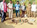 सुरगाव, कामठी शिवारात मोरांची शिकार - Marathi News | Peacocks hunting at Sagana, Kamthi Shivar | Latest vardha News at Lokmat.com