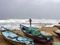 ८७ भारतीयांची सुटका - Marathi News | 87 Indians rescued | Latest ratnagiri News at Lokmat.com
