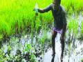 सांडपाण्याच्या पाईपलाईनसाठी प्रलोभने - Marathi News | Seduction for the sewage pipeline | Latest thane News at Lokmat.com