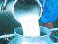 कमी दरामुळे दूधधंदाही बसला! - Marathi News | Reduced price of milk! | Latest maharashtra News at Lokmat.com