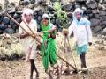 कोरडवाहू शेती अभियानाचे तीन तेरा - Marathi News | Three-tier of dry agricultural farming campaign | Latest maharashtra News at Lokmat.com