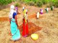 रोजगाराअभावी जव्हारमध्ये स्थलांतर - Marathi News | Migration to employment due to absence of employment | Latest thane News at Lokmat.com
