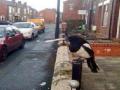 इंग्लंडमधला सिगारेट ओढणारा पक्षी - Marathi News | Cigarette bird in England | Latest international News at Lokmat.com