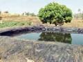 शाश्वत सिंचनाची सुविधा - Marathi News | Permanent Irrigation Facility | Latest amravati News at Lokmat.com