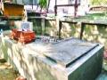 मोबाईल टॉवरच्या परवानगीसाठी हालचाली - Marathi News | Movement for Mobile Tower Permission | Latest thane News at Lokmat.com