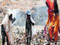 वन विभागाच्या जागेवर डम्पिंग - Marathi News | Dumping at forest area | Latest thane News at Lokmat.com