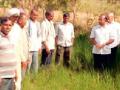 शेतकऱ्यांचे धान पीक जळले - Marathi News | Paddy farmers' crops burnt the peas | Latest gondia News at Lokmat.com