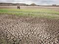 दुष्काळाचा दीड महिना कसा सुसह्य करणार? - Marathi News | How to make a half month of drought? | Latest maharashtra News at Lokmat.com