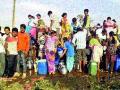 दिंडोरी : ११३ गावे टंचाईच्या फेऱ्यात - Marathi News | Dindori: 113 villages in scarcity round | Latest nashik News at Lokmat.com