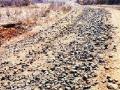 ग्रामीण भागातील रस्त्यांची दुरवस्था - Marathi News | Road condition in rural areas | Latest navi-mumbai News at Lokmat.com