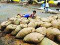 धान्य गोदामाच्या दुरवस्थेची दखल - Marathi News | Grain Warehouse intervention | Latest maharashtra News at Lokmat.com
