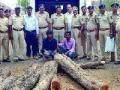 चोरट्या खैरासह टेम्पो पकडला - Marathi News | Chopped with tempered coconut tempo | Latest thane News at Lokmat.com