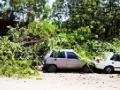 वाहनावर वृक्ष कोसळला : - Marathi News | Tree collapses on vehicle: | Latest yavatmal News at Lokmat.com