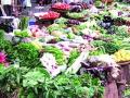 डोंबिवली पश्चिमेत भाजीविक्रेते रस्त्यावर - Marathi News | On the vegetable vendor street in Dombivli west | Latest maharashtra News at Lokmat.com