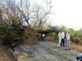 १८ गावांना वादळाचा तडाखा - Marathi News | Storm of 18 villages | Latest nagpur News at Lokmat.com