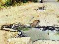 दौंडला मुख्य रस्त्यावर धोकादायक खड्डा - Marathi News | The dangerous pit on the main road to Daund | Latest maharashtra News at Lokmat.com
