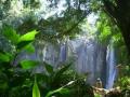 येऊरच्या इको टुरिझमला हिरवा कंदील - Marathi News | Green lanterns of eakro eco tourism | Latest maharashtra News at Lokmat.com