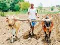 पथ्रोटमध्ये शेती मशागतीला वेग - Marathi News | The pace of farming in Patrot | Latest amravati News at Lokmat.com
