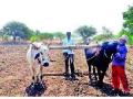 खरीप हंगाम नियोजनासाठी शेतकऱ्यांची लगबग - Marathi News | Farmers' meetings for planning kharif season | Latest nashik News at Lokmat.com
