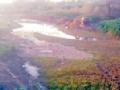नगर पंचायतीने केली बोर नदी पात्राची स्वच्छता - Marathi News | Nagar Panchayat cleans cleanliness of Bor river river | Latest vardha News at Lokmat.com
