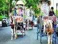 घोडागाडी चालकांना मिळणार टॅक्सी आणि रिक्षाचे परवाने - Marathi News | Taxi and autorickshaw licenses for horse racing drivers | Latest mumbai News at Lokmat.com