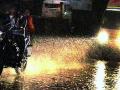 राज्यात १० ते १२ जूनपर्यंत मान्सून - Marathi News | Monsoon from June 10 to 12 in the state | Latest maharashtra News at Lokmat.com