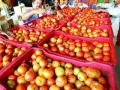 उत्पादन घटल्याने टोमॅटो कडाडला, भाव गेला ८० पार! - Marathi News | Due to the decline in the production of tomato, the price went up 80! | Latest maharashtra News at Lokmat.com