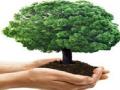 झाडे रुजवण्याचा संकल्प - Marathi News | Resolve to plant trees | Latest thane News at Lokmat.com