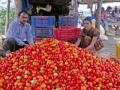 हरभरा, टोमॅटो, कोथिंबिरीचे भाव तेजीत - Marathi News | Prices of gram, tomatoes, coriander | Latest maharashtra News at Lokmat.com