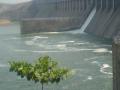 उजनी धरणातील पाणीसाठ्यात १ टक्के वाढ - Marathi News | The water storage in the Ujni dam is 1 percent | Latest pune News at Lokmat.com