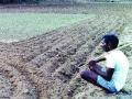 भात रोपे करपल्याने शेतकरी चिंतेत - Marathi News | Farmer worries with rice seedlings | Latest maharashtra News at Lokmat.com