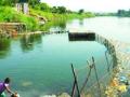 कोरड्या उल्हास नदीत आज येणार पाणी - Marathi News | Water to come today in the dry Ulhas river | Latest maharashtra News at Lokmat.com