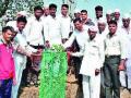 सिन्नर तालुक्यातील २० गावांमध्ये हरित उपक्रम - Marathi News | Green Activities in 20 villages of Sinnar taluka | Latest nashik News at Lokmat.com