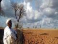 विदर्भातील शेतक-यांना दमदार सार्वत्रिक पावसाची प्रतीक्षा ! - Marathi News | Farmers in Vidarbha wait for strong rain! | Latest akola News at Lokmat.com