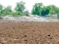पेरणीला अद्यापही सिंचनाचाच आधार - Marathi News | Irrigation support is still in sowing | Latest vardha News at Lokmat.com