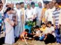 प्रयासतर्फे दर्डानगरमध्ये वृक्षारोपण - Marathi News | Plantation in Dardanagar by Prayas | Latest yavatmal News at Lokmat.com