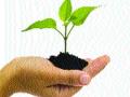 तीन वर्षांत ४० कोटी वृक्ष लावणार - Marathi News | In the next three years, 40 million trees will be planted | Latest maharashtra News at Lokmat.com