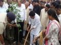 वृक्षलागवड काळाची गरज ! - Marathi News | Tree planting time needed! | Latest vashim News at Lokmat.com