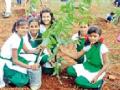 जिल्हाभर वृक्षारोपणाची लगबग - Marathi News | Long-time plantation of the district | Latest yavatmal News at Lokmat.com