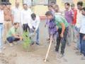 प्रत्येक भागात वृक्ष लागवड - Marathi News | Planting trees in every area | Latest amravati News at Lokmat.com