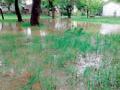 आंजी झाले जलमय... - Marathi News | The angle occurred in the water ... | Latest vardha News at Lokmat.com