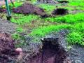 वृक्षारोपण गेले ‘खड्ड्यात’ - Marathi News | Plantation went 'into the ditch' | Latest nashik News at Lokmat.com