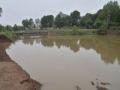 औरंगाबाद विद्यापीठातील तलाव, चर तुडुंब - Marathi News | Aurangabad University's pond, variable tumble | Latest maharashtra News at Lokmat.com