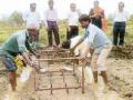 ्न‘सगुना’ने साधला भात शेतीचा विकास - Marathi News | Development of rice cultivation done by 'Suguna' | Latest gondia News at Lokmat.com